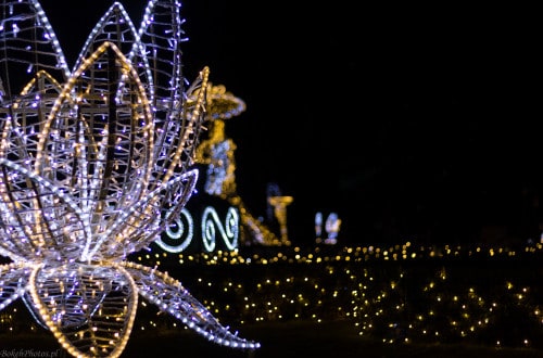 jak robić zdjęcia w nocy nocą park oliwski bokehphotos bokeh