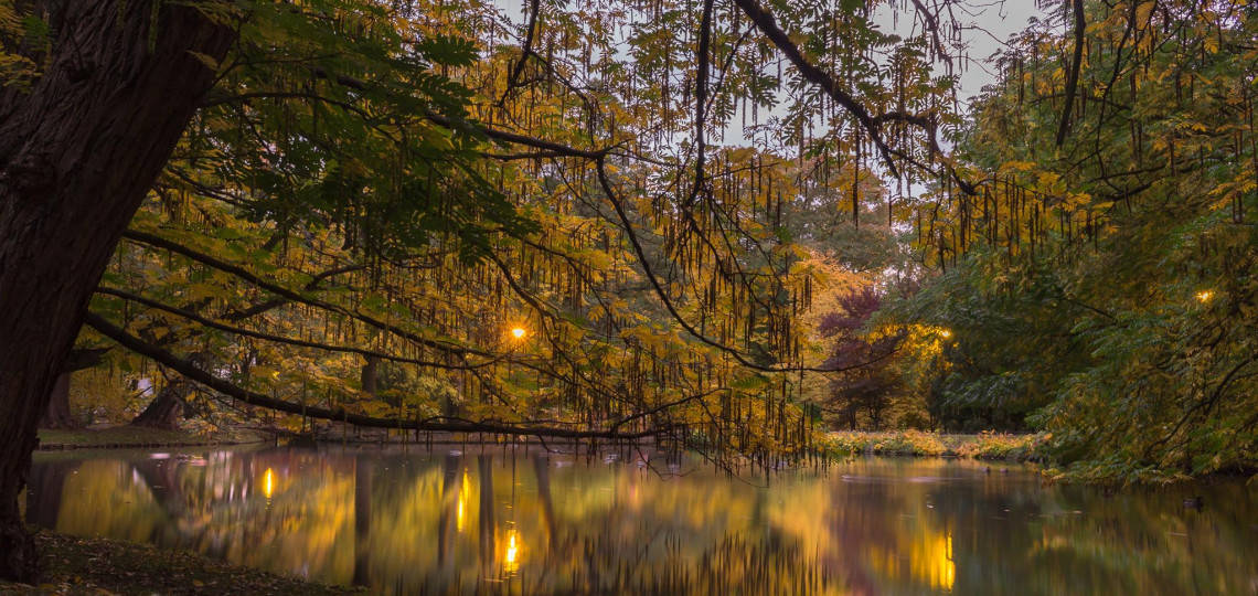 park oliwski jesien woda pomysły na zdjęcia jesienią
