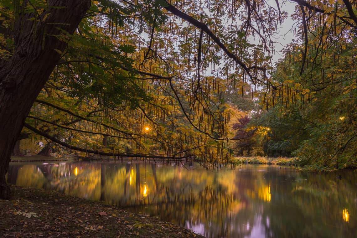 park oliwski jesien woda pomysły na zdjęcia jesienią
