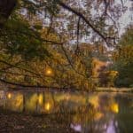 park oliwski jesien woda pomysly na zdjecia jesienia 150x150 - Pomysły na zdjęcia jesienią !