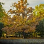 Jesienne zdjęcia 2018