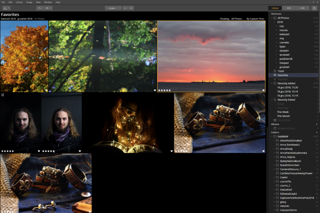Luminar zarządzanie zdjęciami przykład interfejsu 2