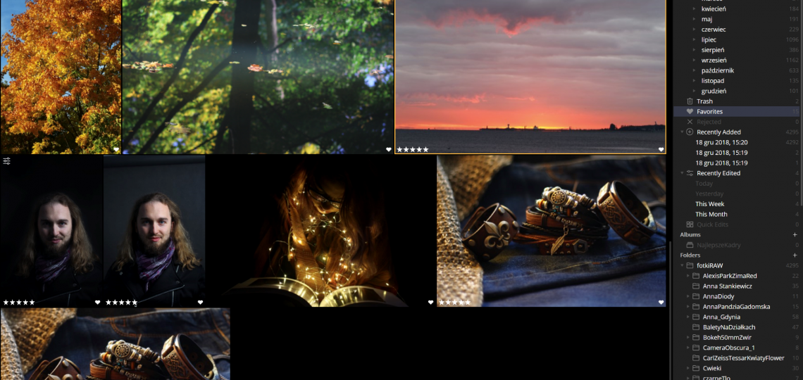 Luminar zarządzanie zdjęciami przykład interfejsu 2