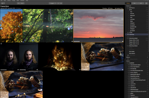 Luminar zarządzanie zdjęciami przykład interfejsu 2