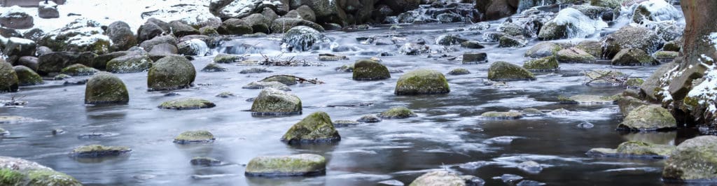 Jak zrobić zdjęcie panoramiczne - sklejona panorama Park Oliwski-8
