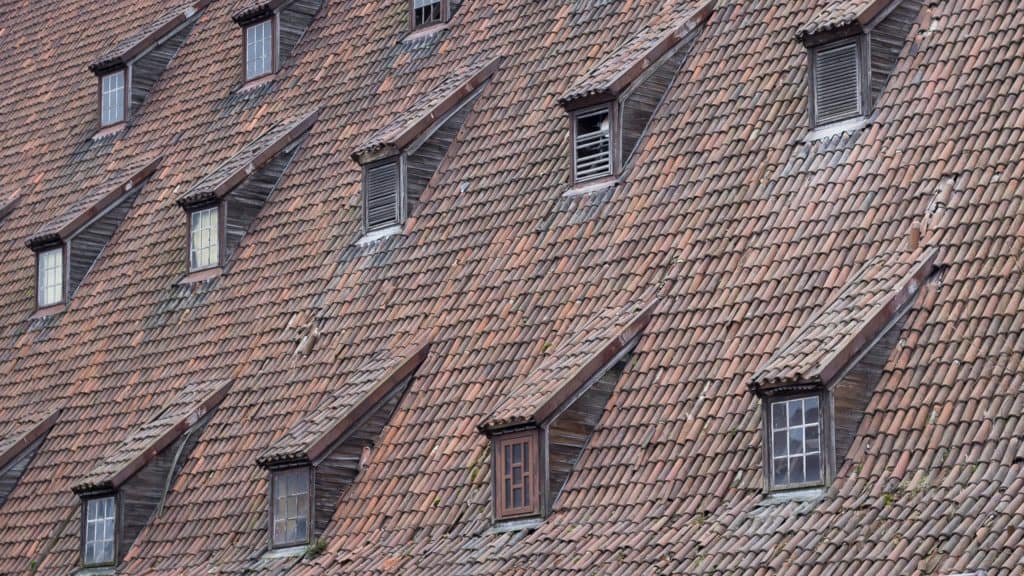 Rodzaje fotografii - fotografia czarno biała