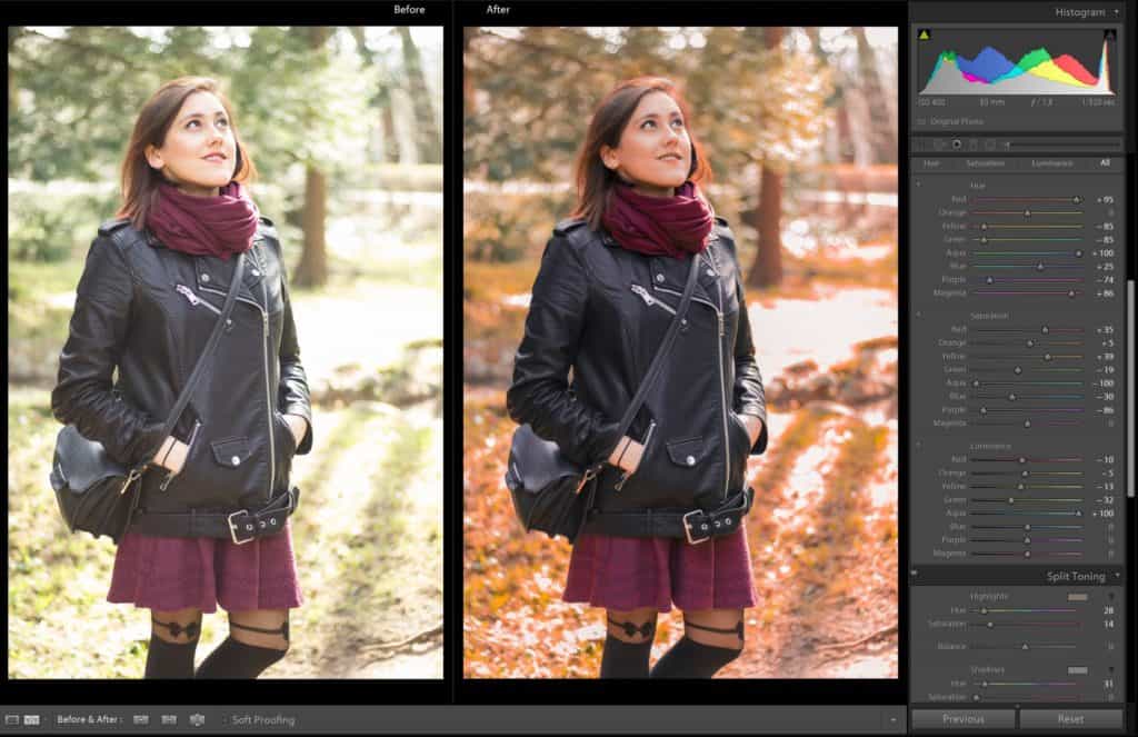 Preset lightroom - jesień - portret - las