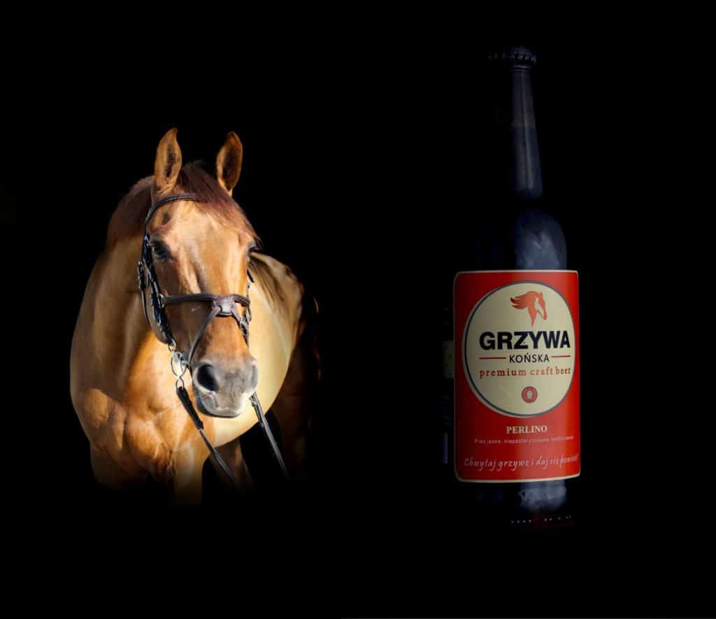 konkursy fotograficzne - fotografia produktowa butelki piwa Końska Grzywa