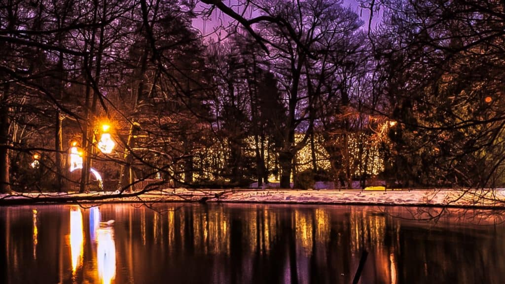 Kadrowanie zdjęcia w fotografii 16x9 panoramiczne Park Oliwski-1