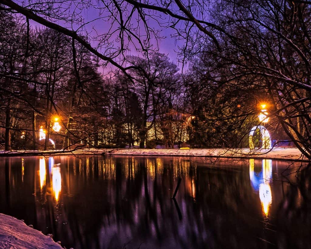 Kadrowanie zdjęcia w fotografii 4x5, 8x10-1