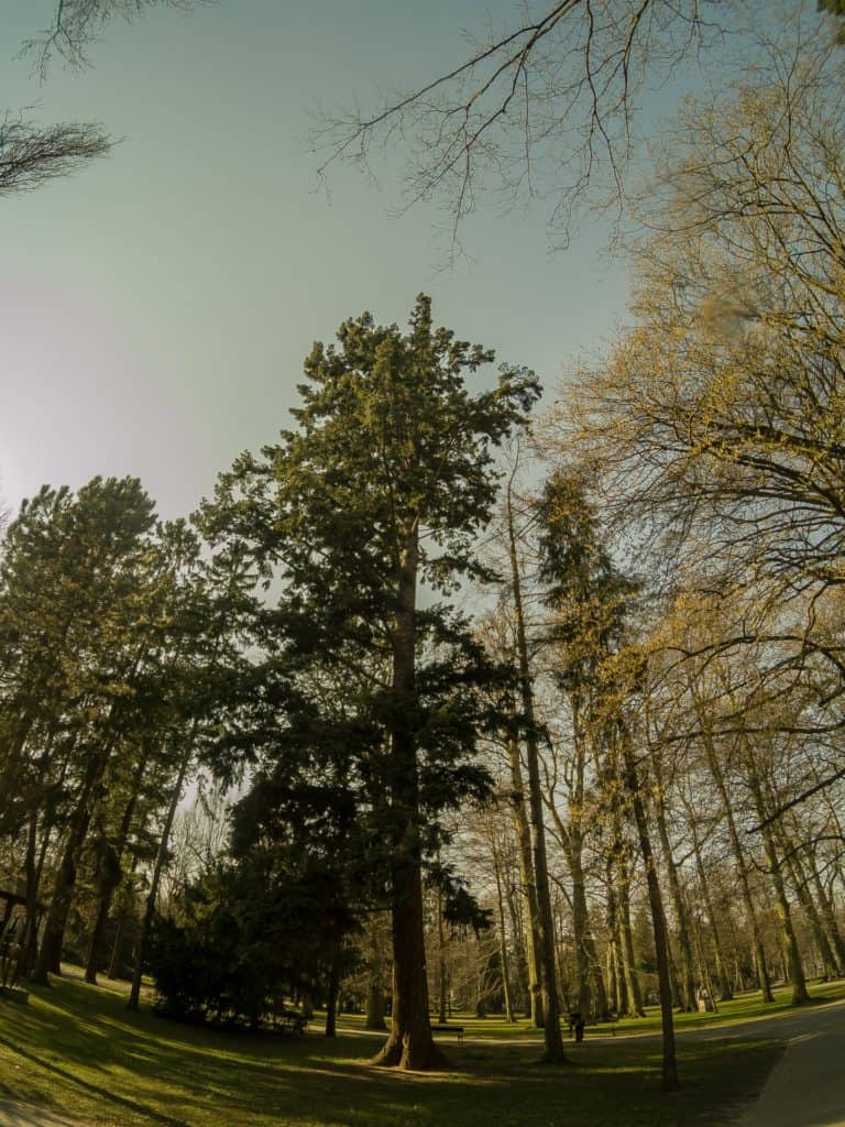 Zdjęcia z kamerki sportowej Xiaomi YI 4k przykład szerokiego kąta widzenia