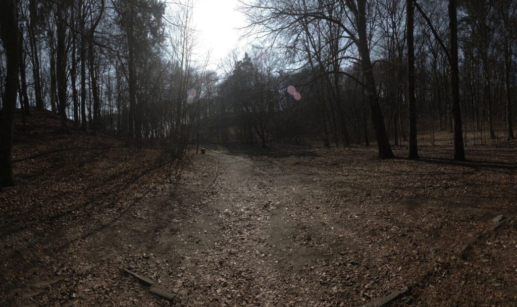Zdjęcia z kamerki sportowej panorama lasu originalny