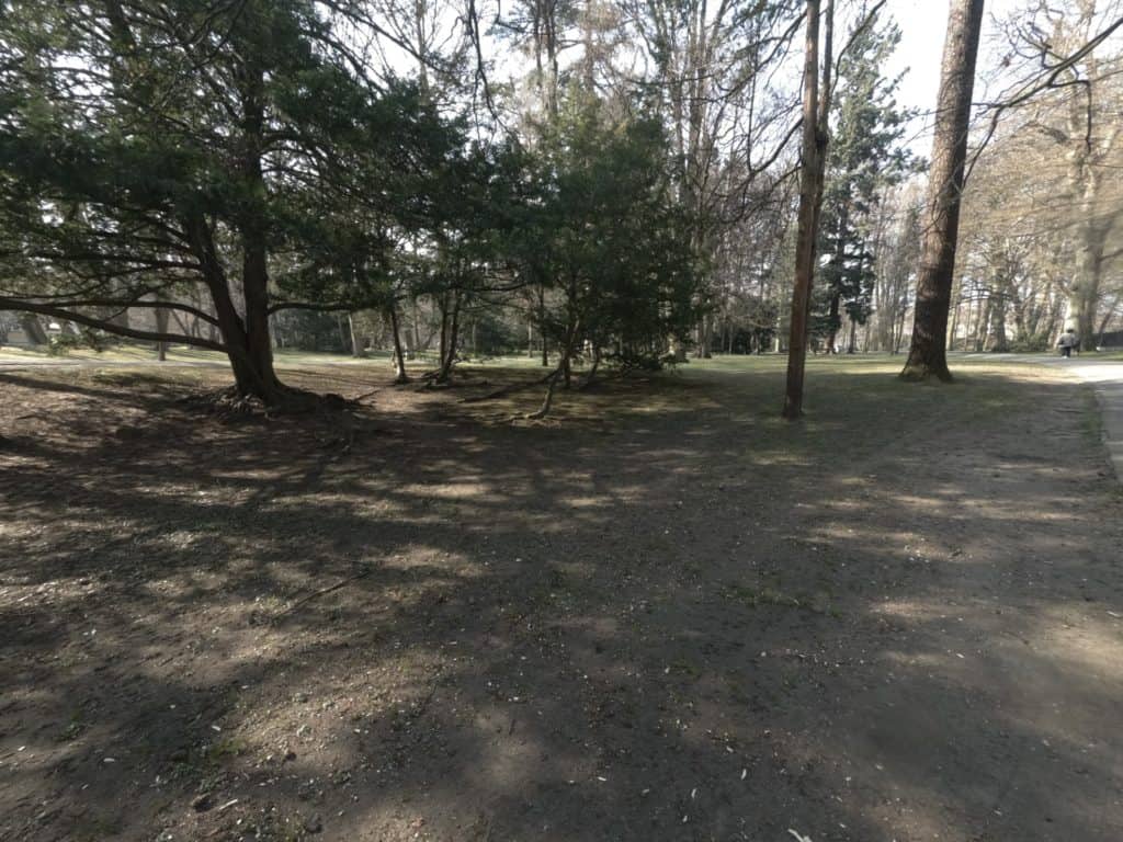 xiaoyi yi 4k przykładowe zdjęcie cienie