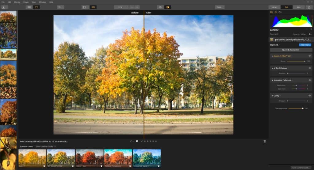 Luminar accent ai drzewo jesienne wartość filtru 100