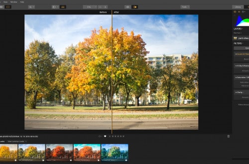 Luminar accent ai drzewo jesienne wartość filtru 100