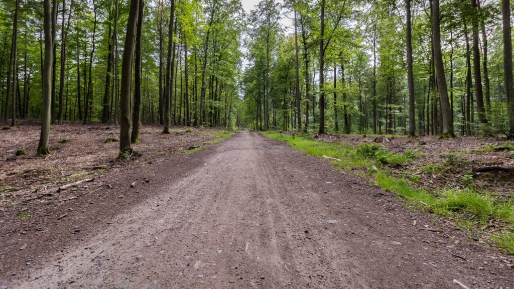 Fotografia 10mm szerokokątny obiektyw canon-1
