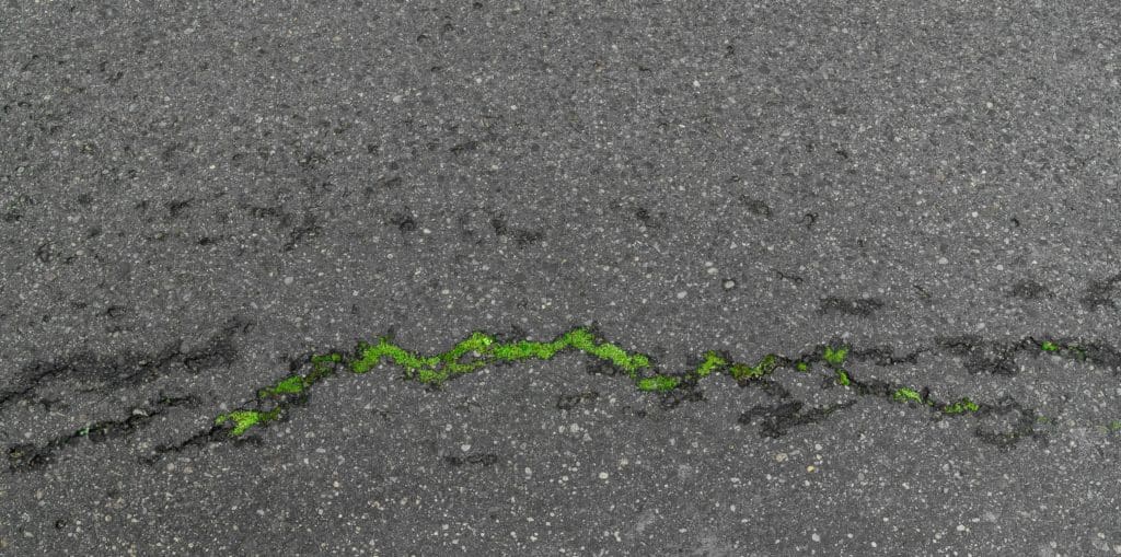 Fotografia 10mm szerokokątny obiektyw canon-13