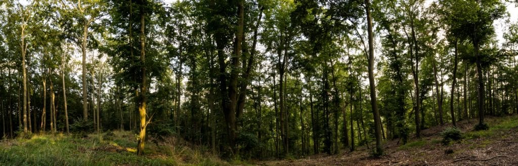 Fotografia 10mm szerokokątny obiektyw canon-14