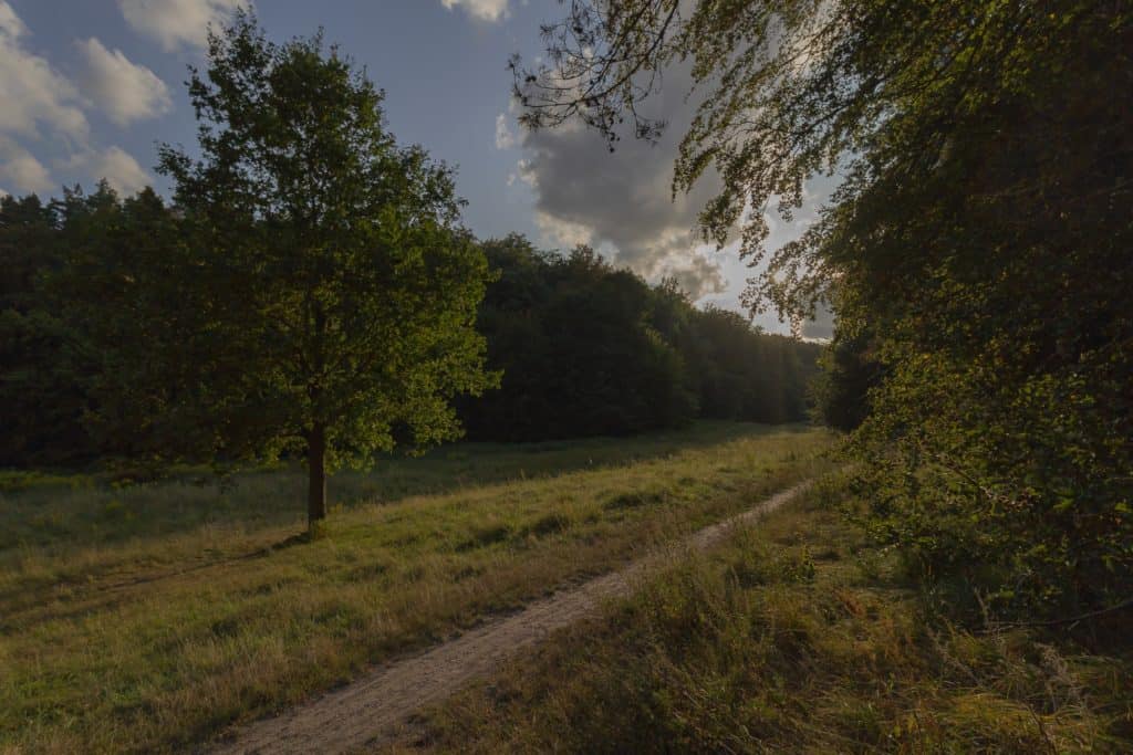 Fotografia 10mm szerokokątny obiektyw canon-18