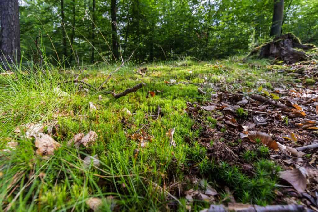 Fotografia 10mm szerokokątny obiektyw canon-7