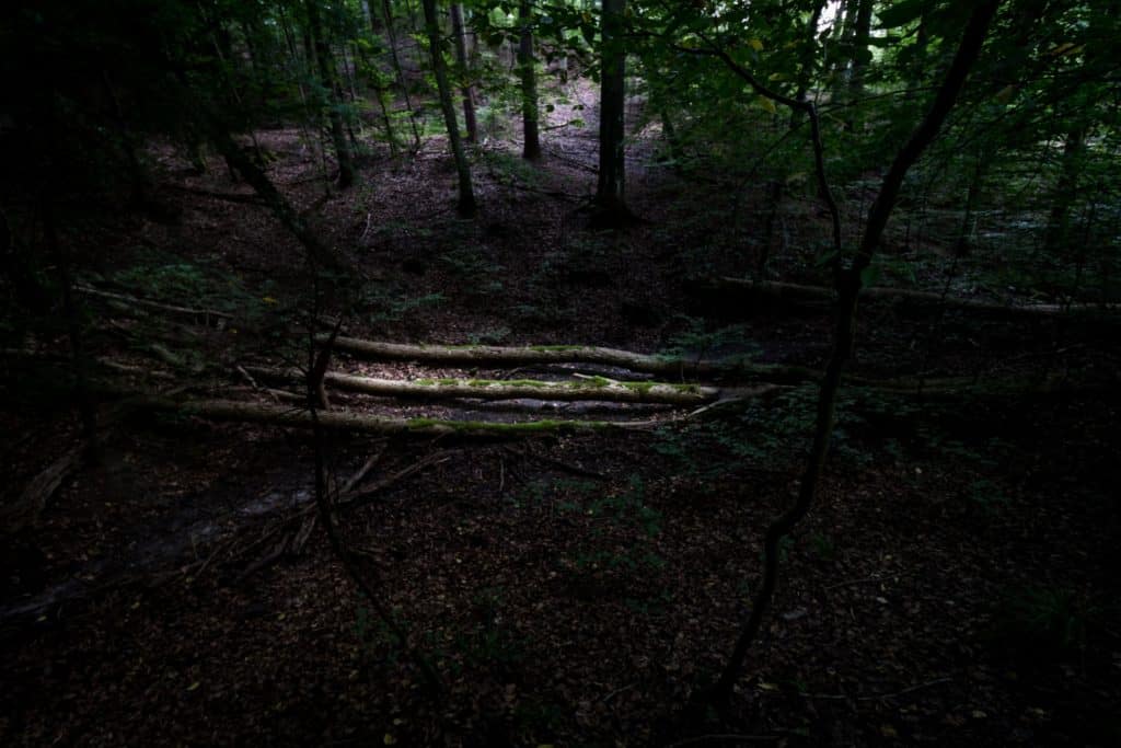 Fotografia 10mm szerokokątny obiektyw canon-8