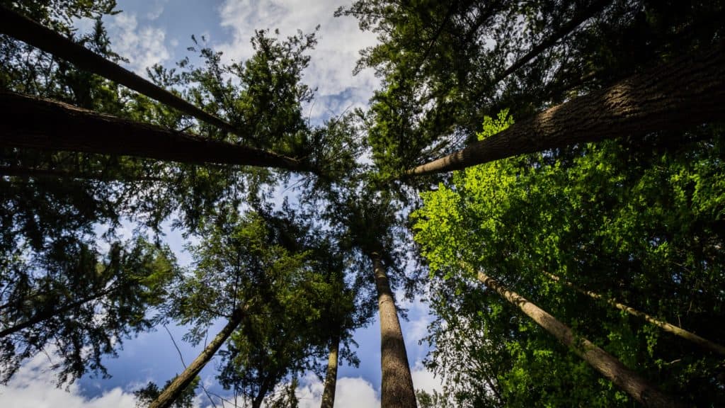 Fotografia 10mm szerokokątny obiektyw canon-9