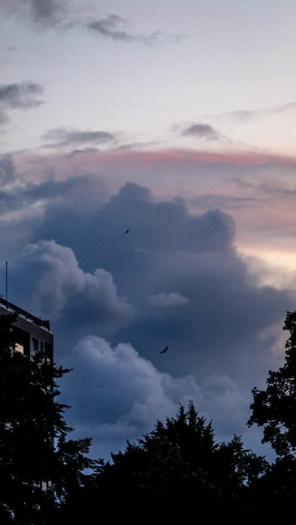Wyzwanie fotograficzne tydzień z aparatem droga do pracy-niebo nad żabianką