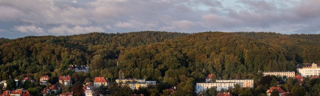 Wyzwanie fotograficzne tydzień z aparatem droga do pracy jesienna panorama w Oliwie