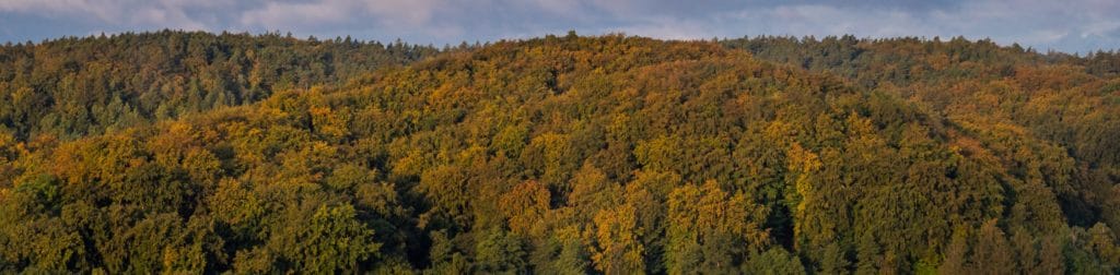 Wyzwanie fotograficzne tydzień z aparatem droga do pracy jesienna panorama w Oliwie - crop