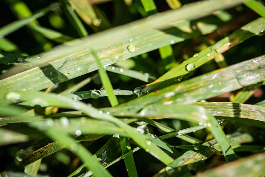 Wyzwanie fotograficzne tydzień z aparatem droga do pracy-5