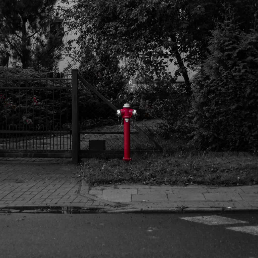 wyzwanie fotograficzne fotografia z kolorowymi elementami