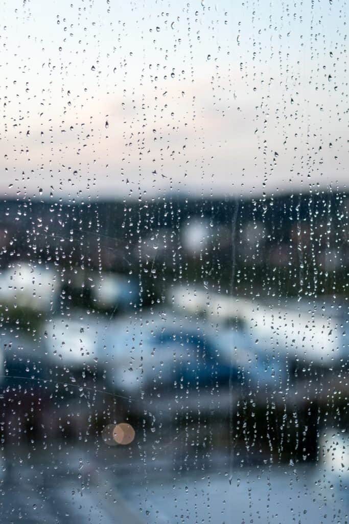 Wyzwanie fotograficzne tydzień z aparatem - środa 50mm-5