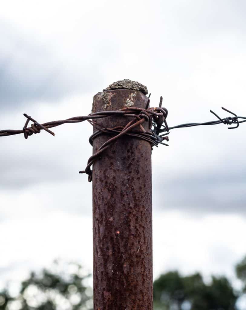 Wyzwanie fotograficzne tydzień z aparatem - środa 50mm-8