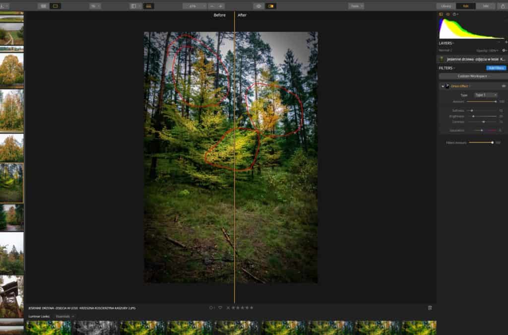 Jesienne drzewa i styl rozmmycia, iluminacji