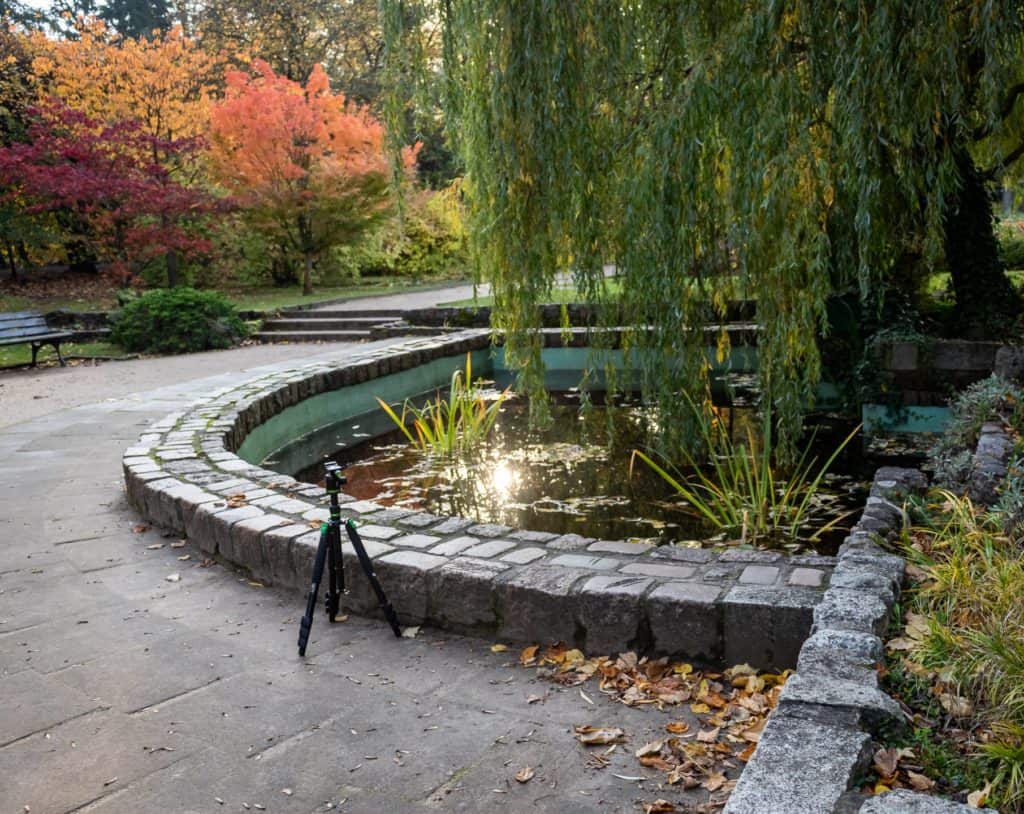 Oczko wodne jakie wykorzystałem do zdjęć