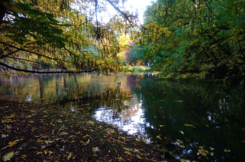 zakres dyanamiczny aparat a telefon-asus zenfon przykład