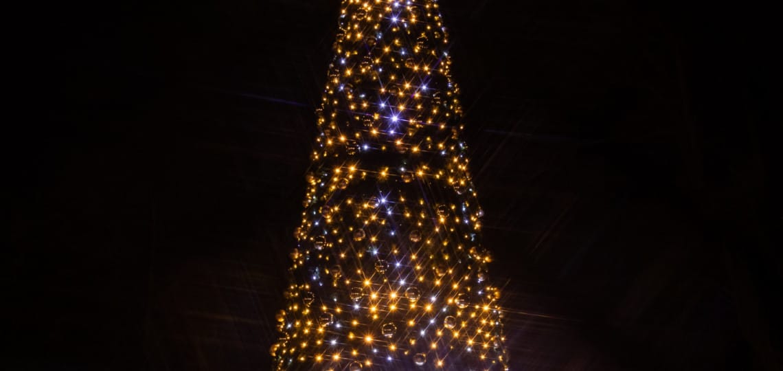 Filtr gwiazdkowy w fotografii - park oliwski choinka