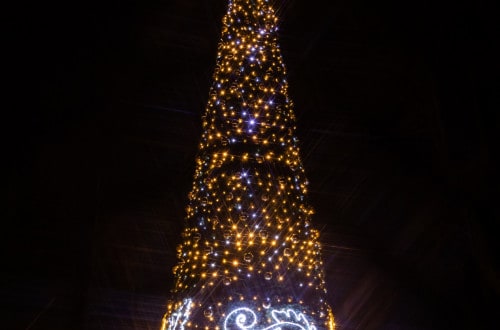 Filtr gwiazdkowy w fotografii - park oliwski choinka