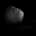 Zdjęcia jabłek w artystycznym czarno białym stylu
