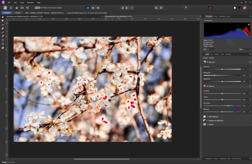 Develop persona z zaznaczaniem przewietleń i suwakami Affinity Photo
