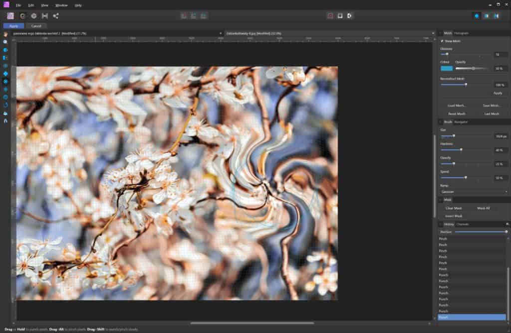 Liquify persona - wygląd siatki i narzędzia do transformacji warstw Affinity Photo
