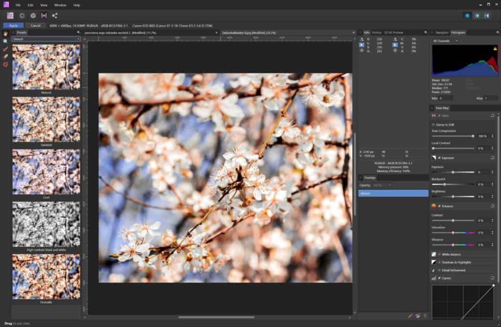 Tone mapping persona - koloryzacja zdjęć Affinity Photo