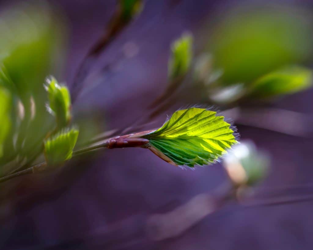 Reguły kompozycji koloru - kolory przeciwstawne lub komplementarne