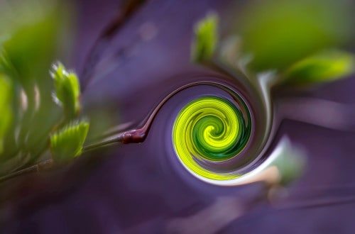 Zakręcony liść - efekt filtru twirl -affinity photo