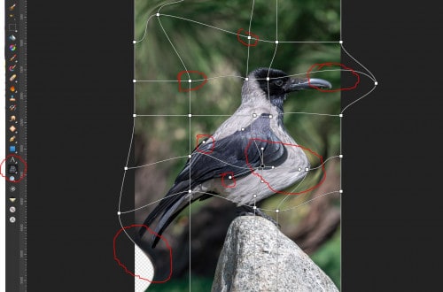 Warp mesh w affinity photo - elementy siatki