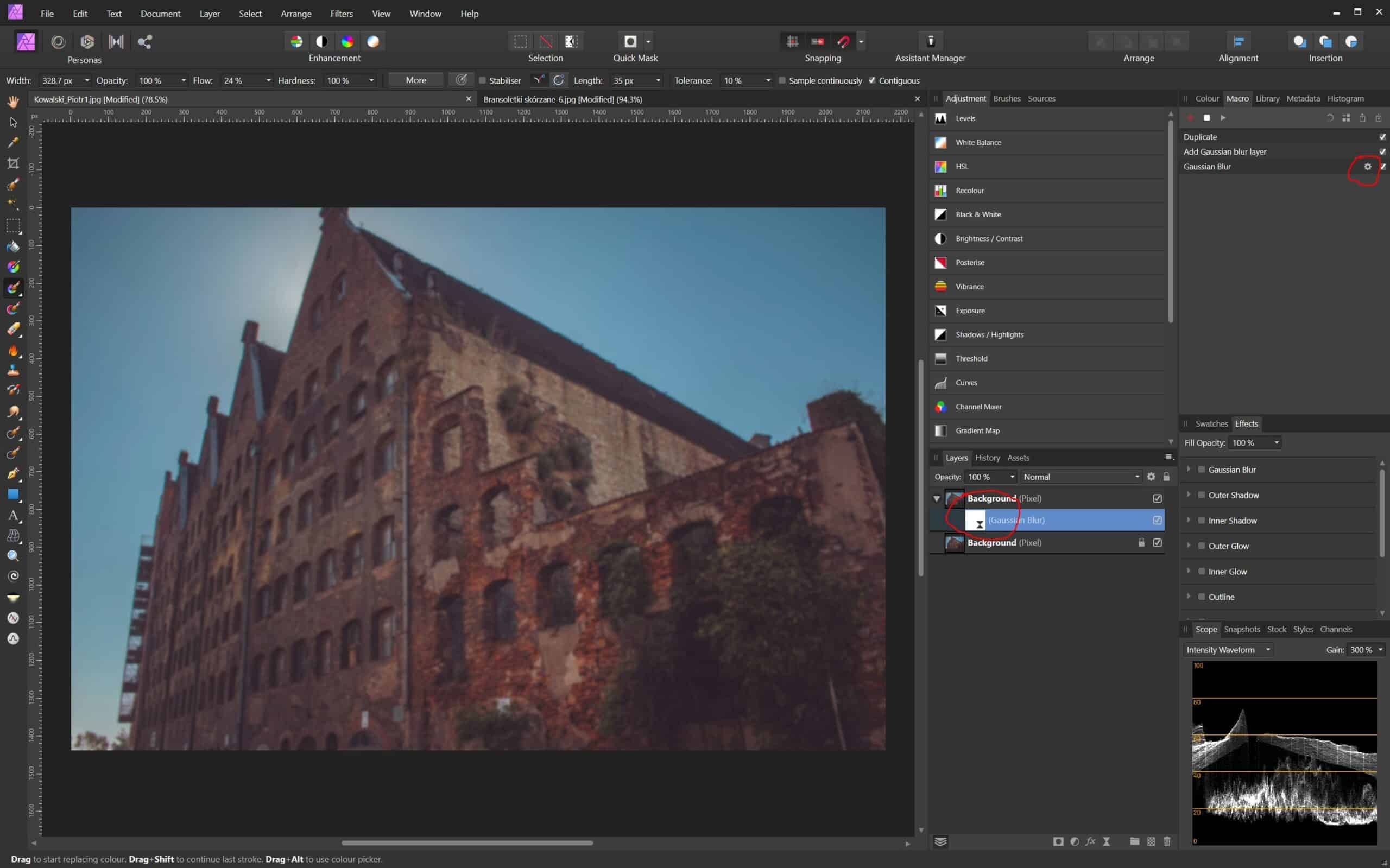 Affinity photo makro - dodanie kroków do edycji - zębatka oznacza możliwość zmiany parametrów