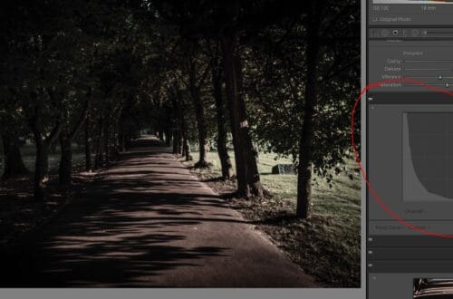 Zdjęcie filmowe - Park Oliwski jak w filmie - zdjęcie originalne PRZED